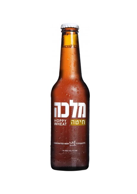  מלכה חיטה