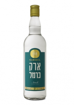 ארק כרמל