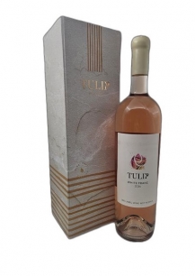 20260217_131749-na 20260217_131749-na