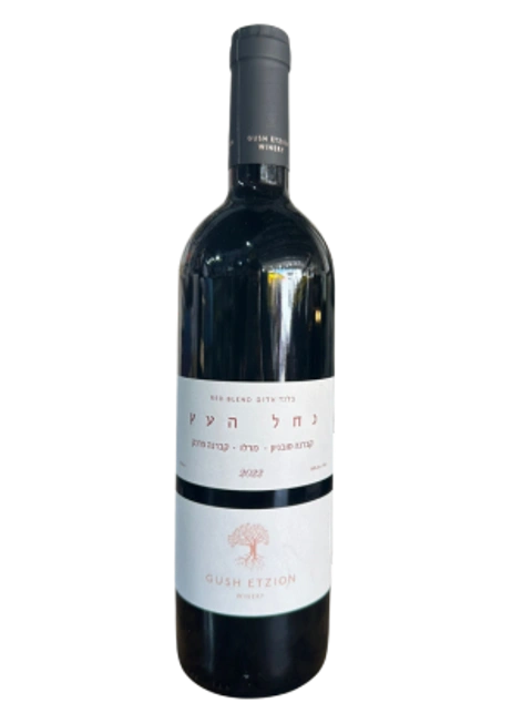 גוש עציון נחל העץ אדום
